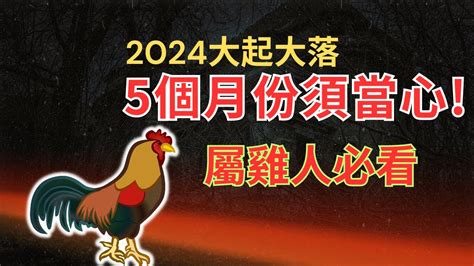 1981屬雞2024運勢|1981年属鸡人2024年全年运势详解 43岁生肖鸡2024年。